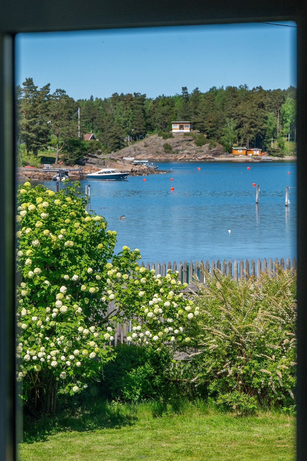 Sjarm Galleribilde