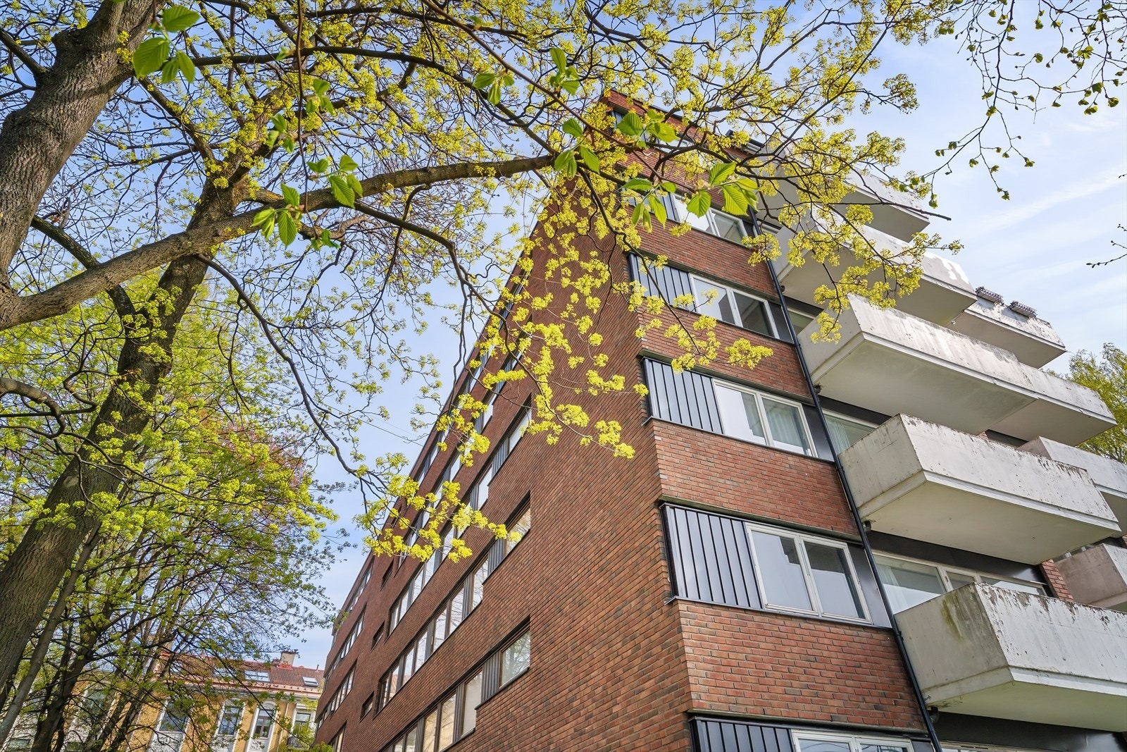 Nyoppusset 1-roms i rolig sidegate, kun minutter fra trikk, sjø og Aker Brygge. Galleribilde