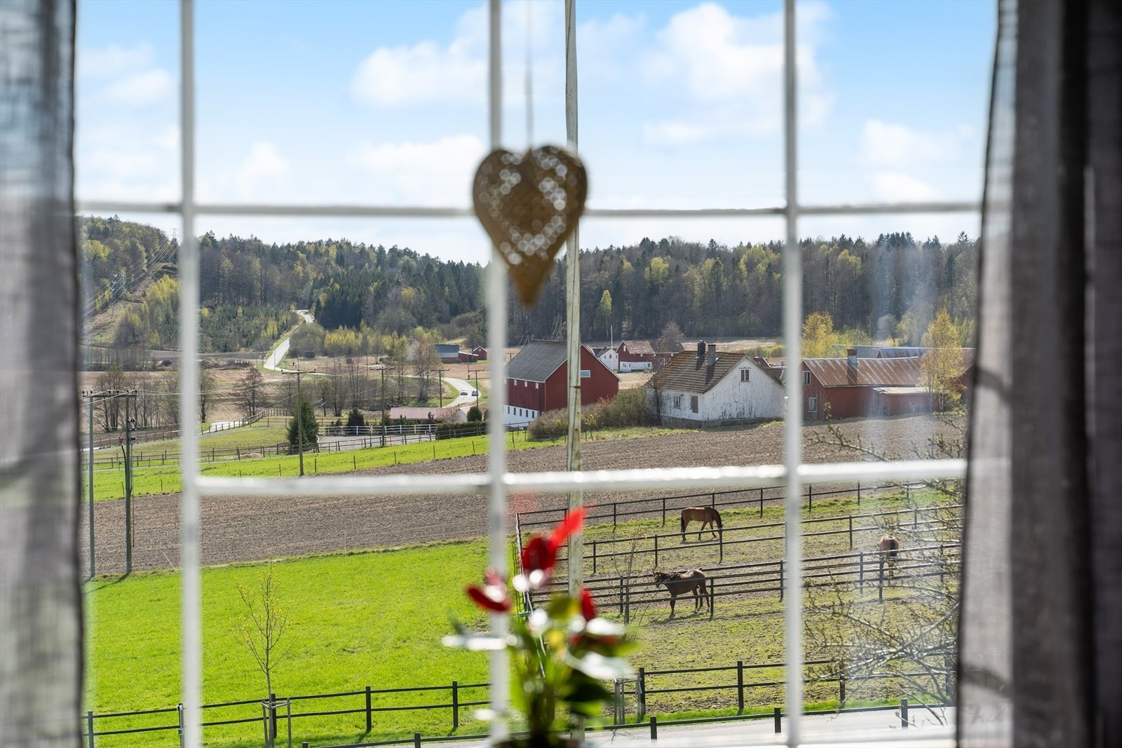 Landlig og idyllisk utsikt. Galleribilde