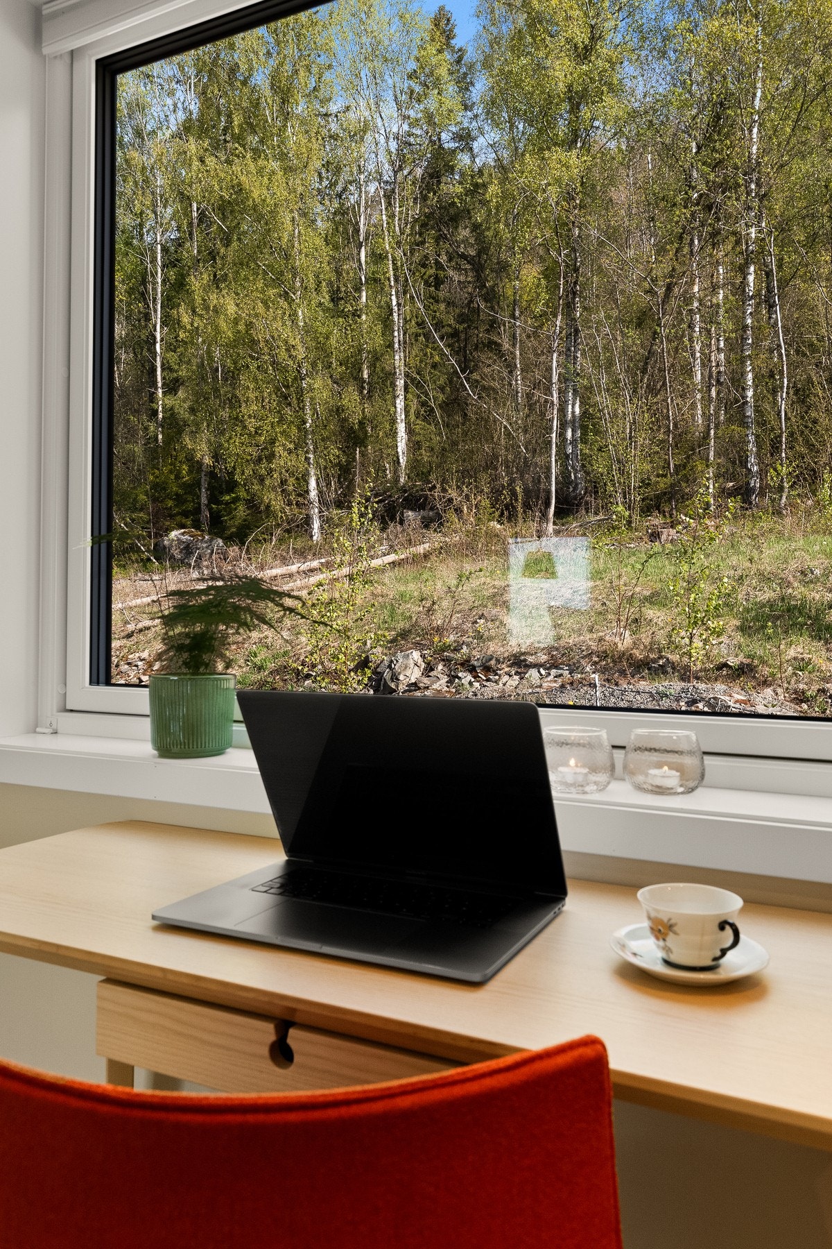Fra kontorplassen er det mulig bli forsyrret av rikt fugle - og dyreliv Galleribilde