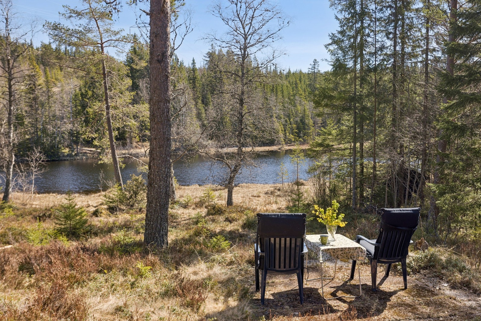 Naturlig opparbeidet tomt med lyng, skog og fine uteplasser. Galleribilde