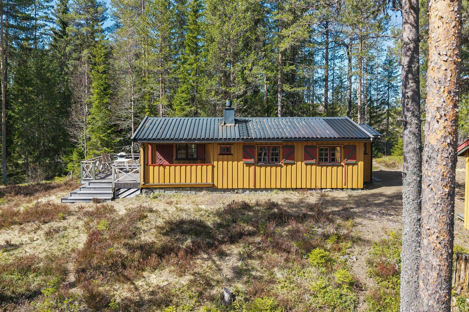 Velkommen til hyggelig visning! Galleribilde