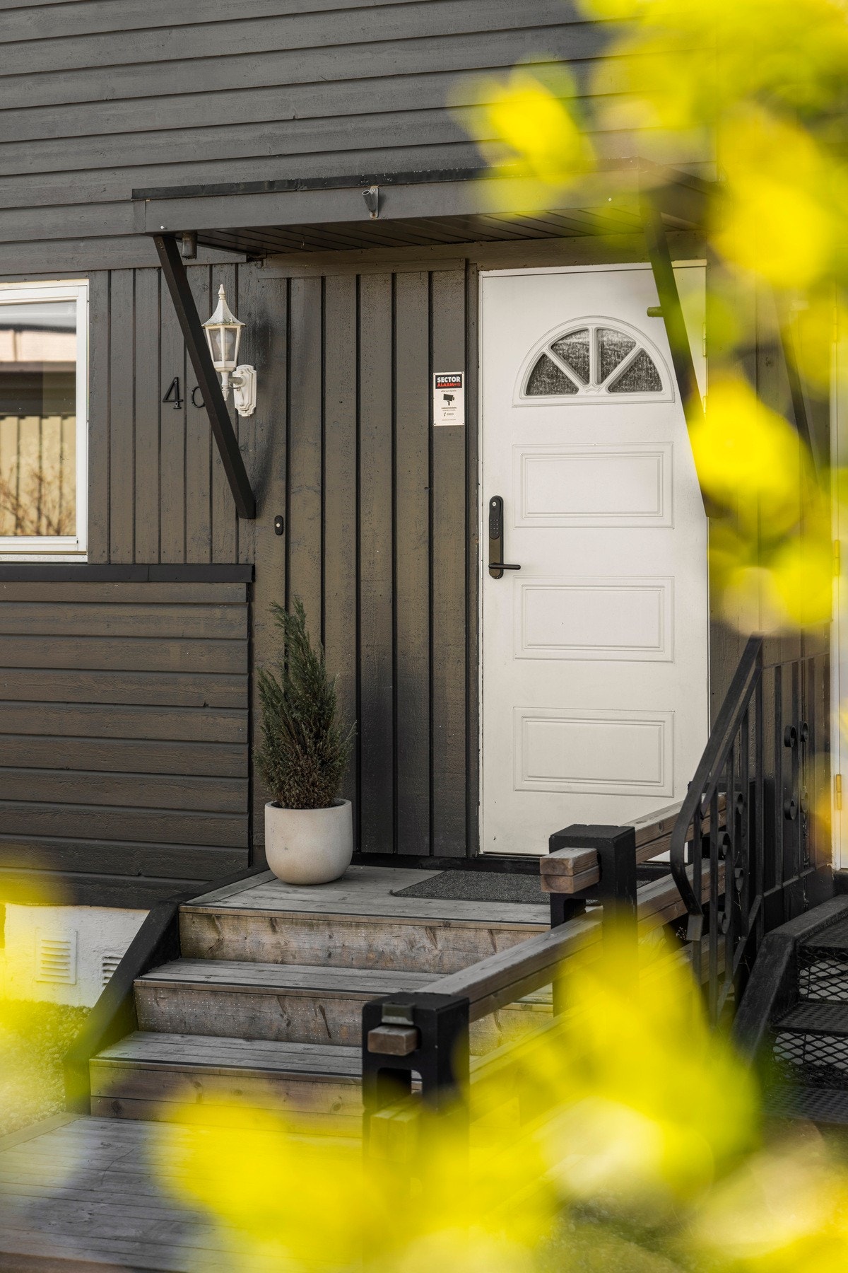 Grønt innslag gir en privat og hyggelig ramme. Galleribilde