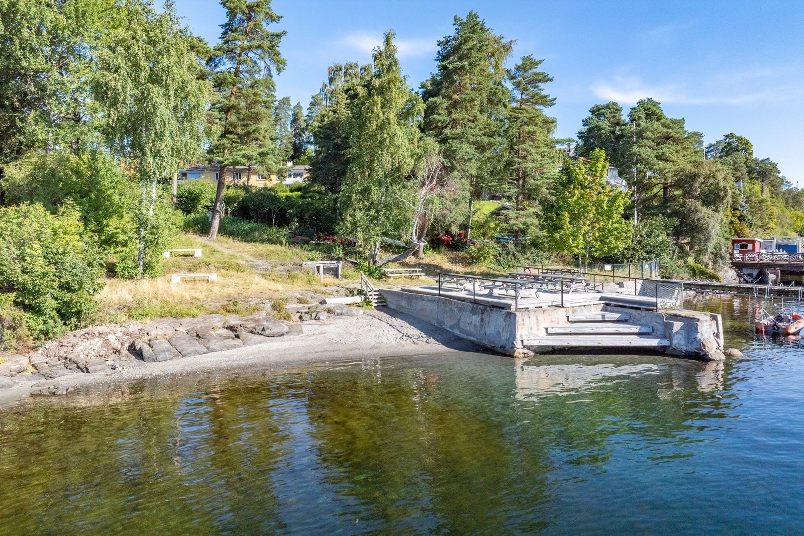 Strandparsell. Galleribilde