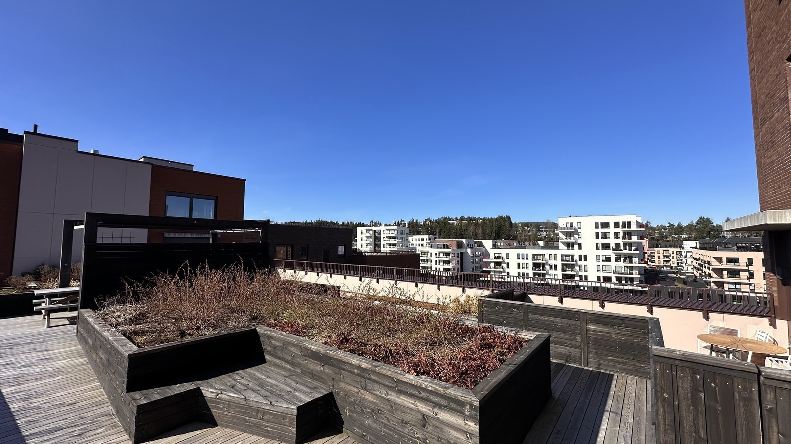 Takterrasse Galleribilde