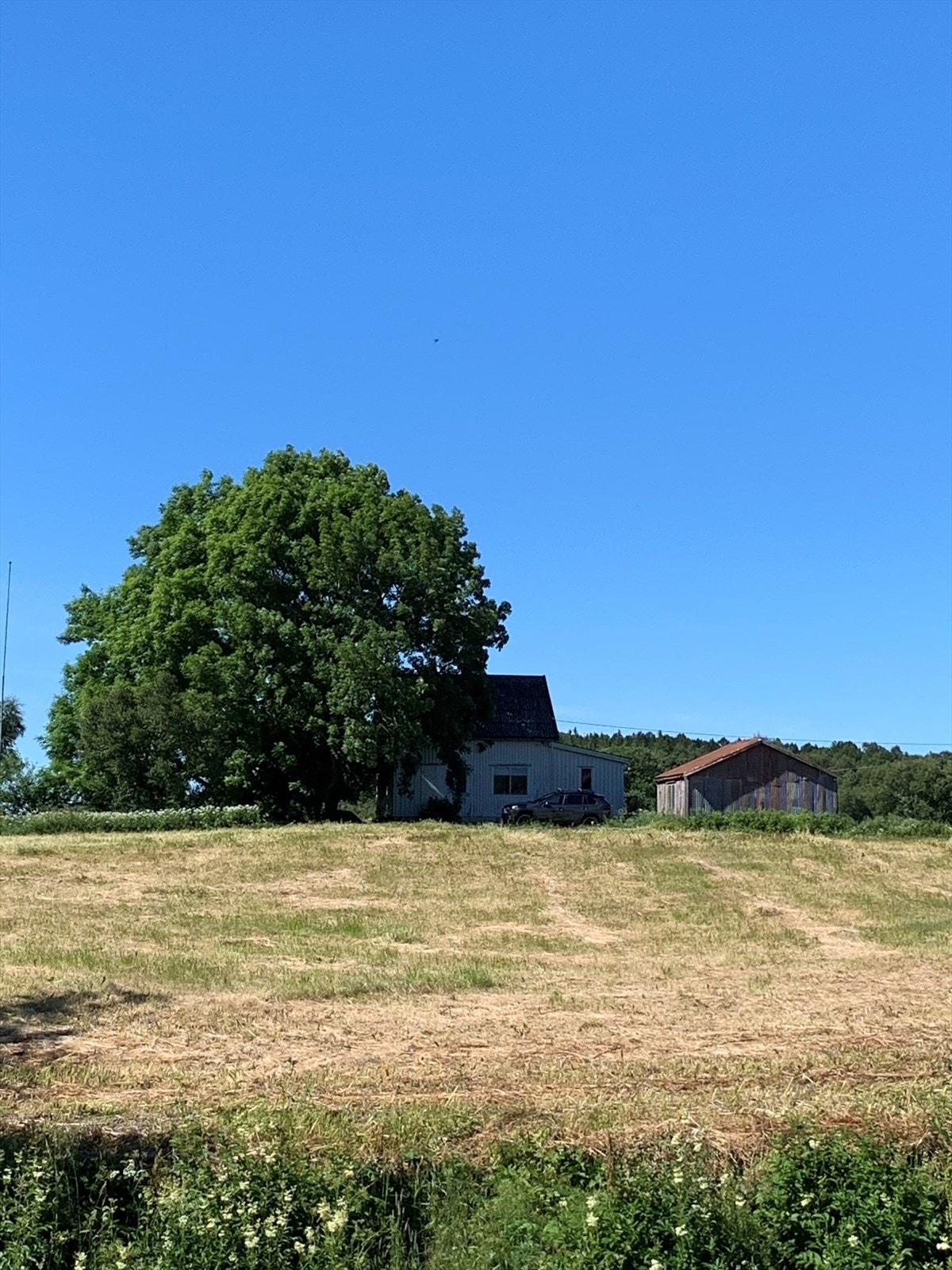Privat bilde Galleribilde