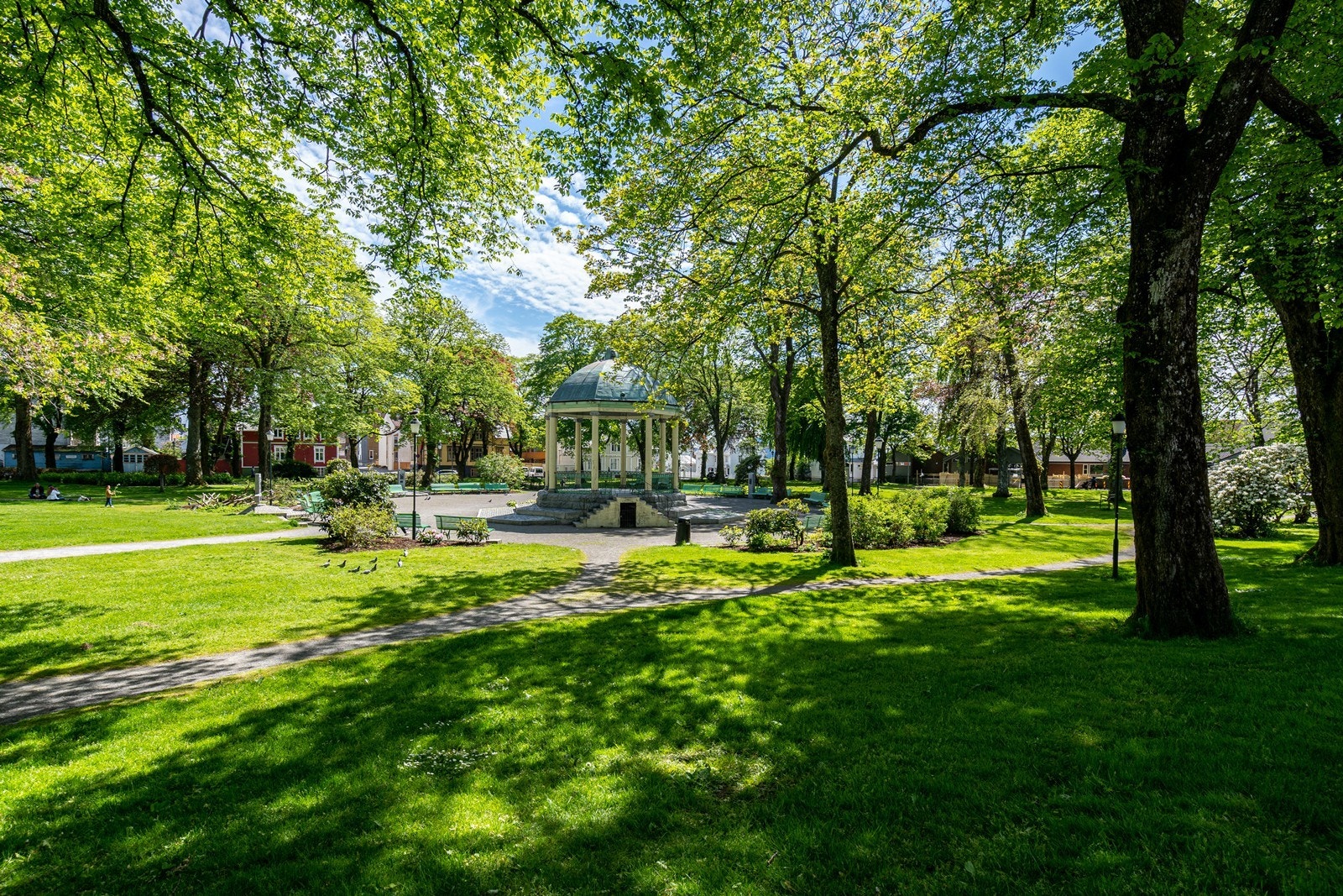 Bilen står og bena går. Bare det i seg selv er en god investering Galleribilde