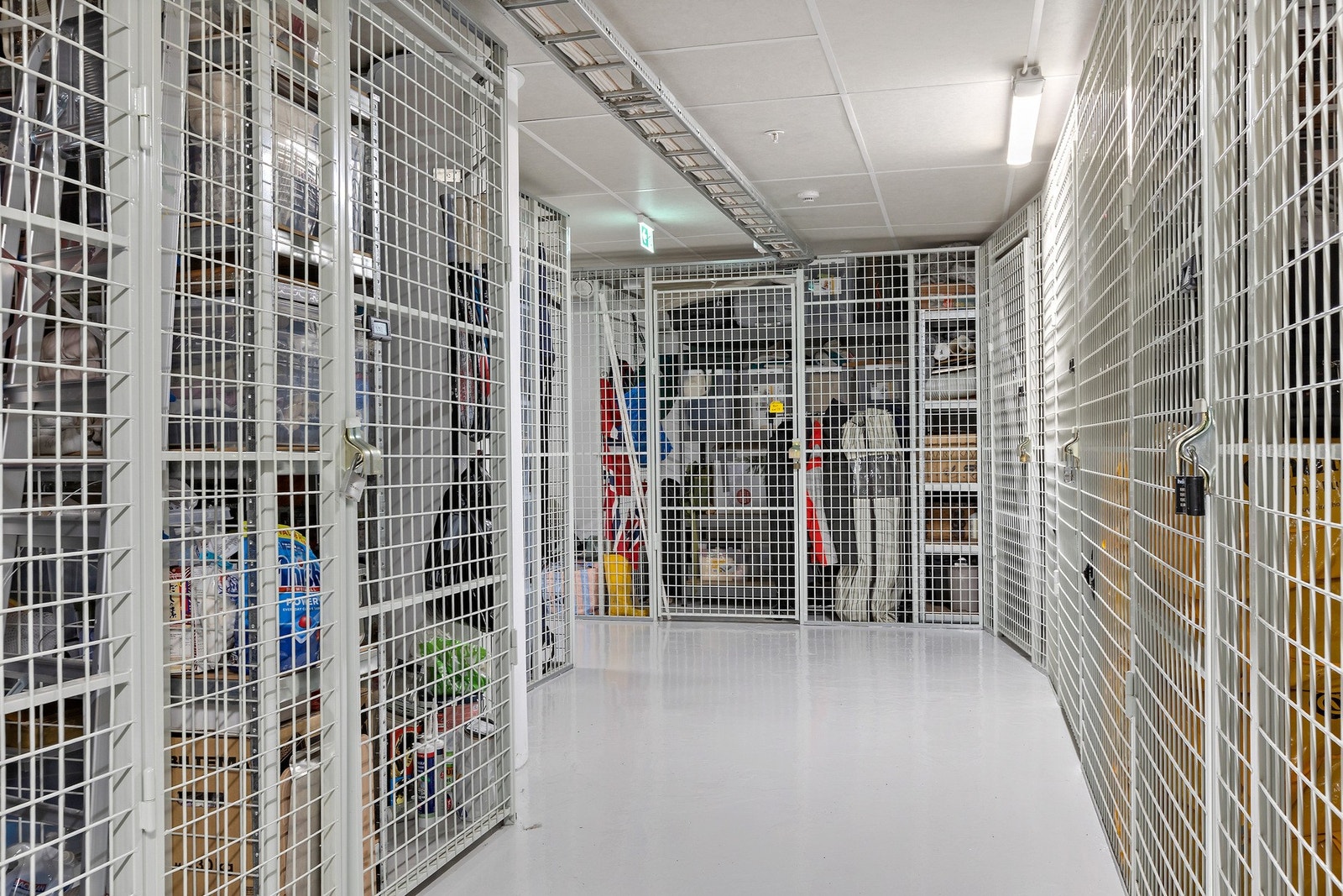 Stor kjellerbod. Galleribilde