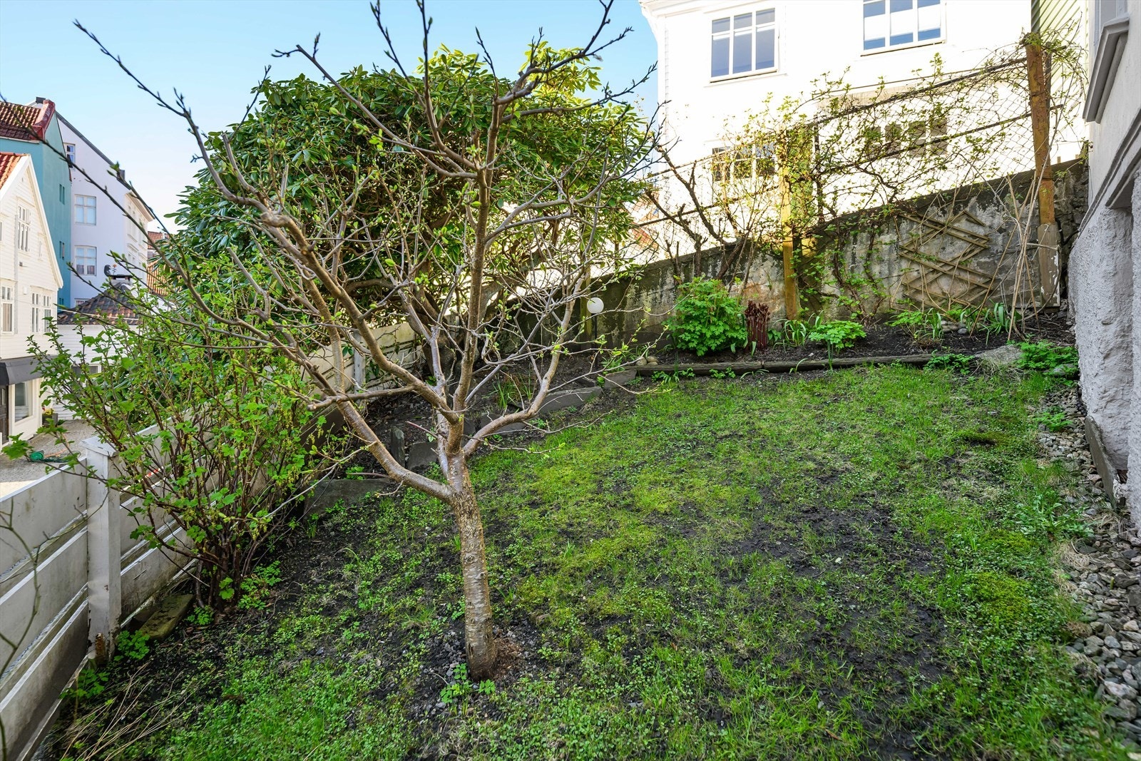 På sommeren er hagen en fin grønn lunge med plommetre, rips og solbærbusker. Fine peoner, rhododendron og ulike vekster som blomstrer. Galleribilde