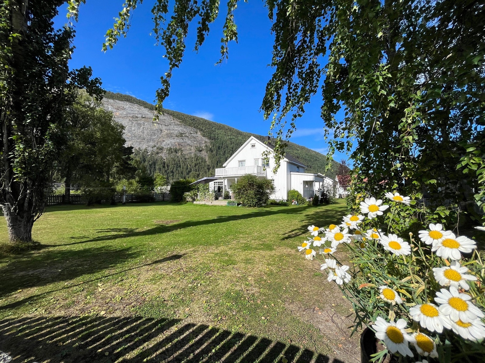 Uteområde Galleribilde