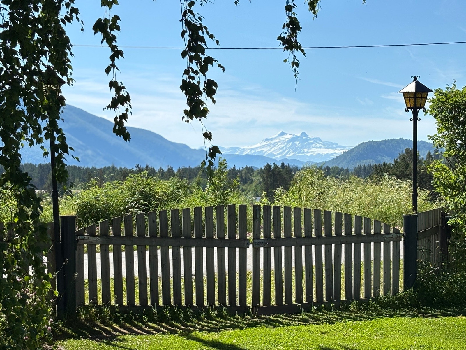 Uteområde Galleribilde