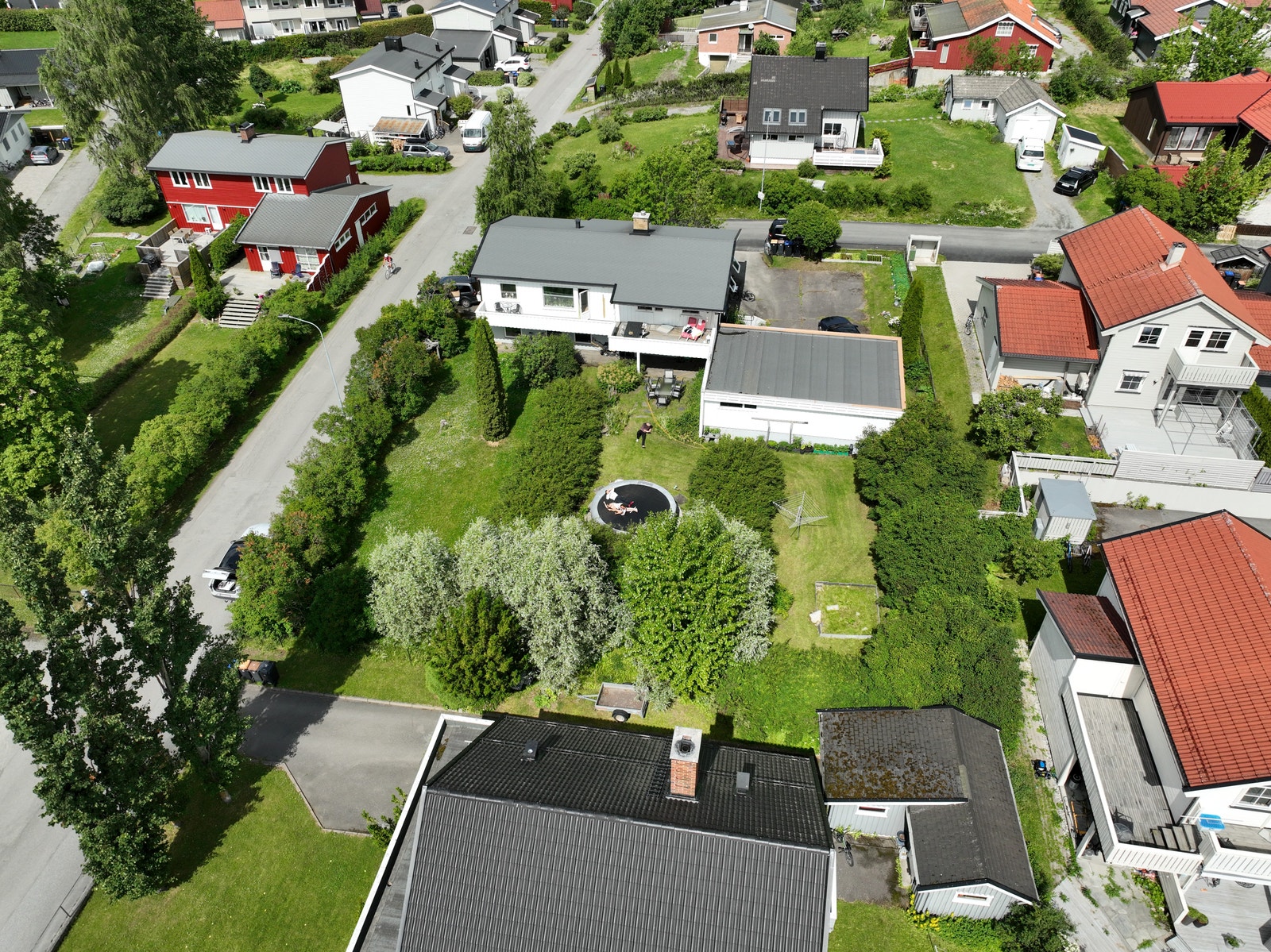 Dronebilde over tomten Galleribilde