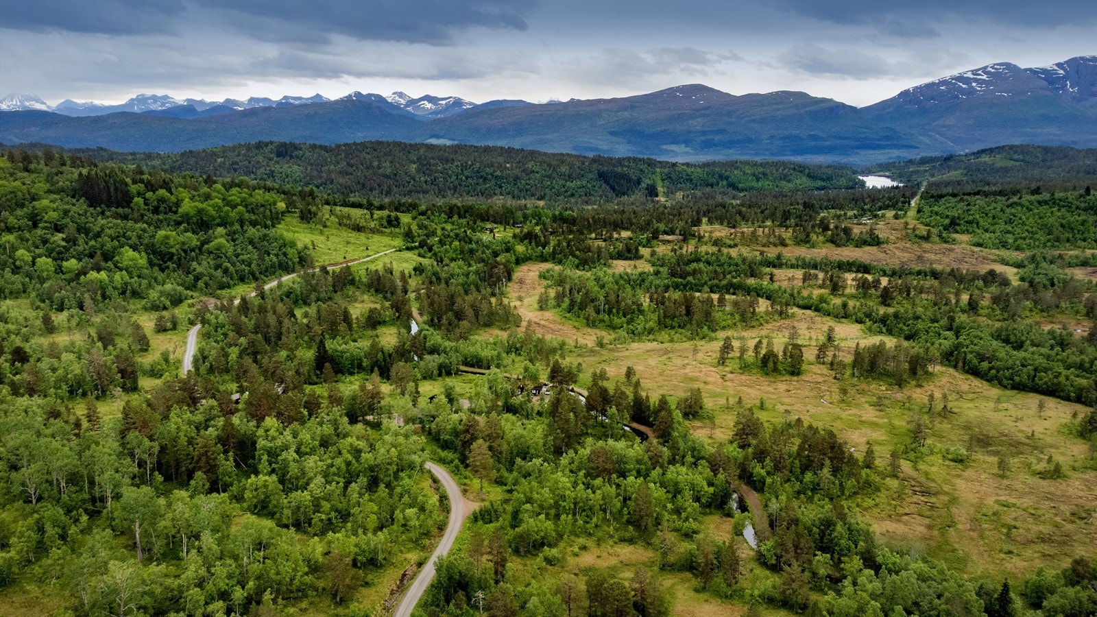 Områdebilde Galleribilde
