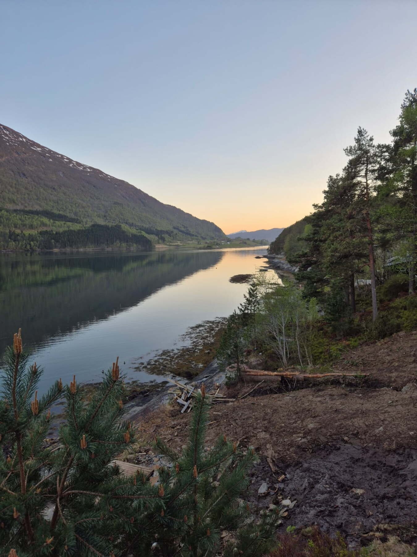 Selgers foto Galleribilde