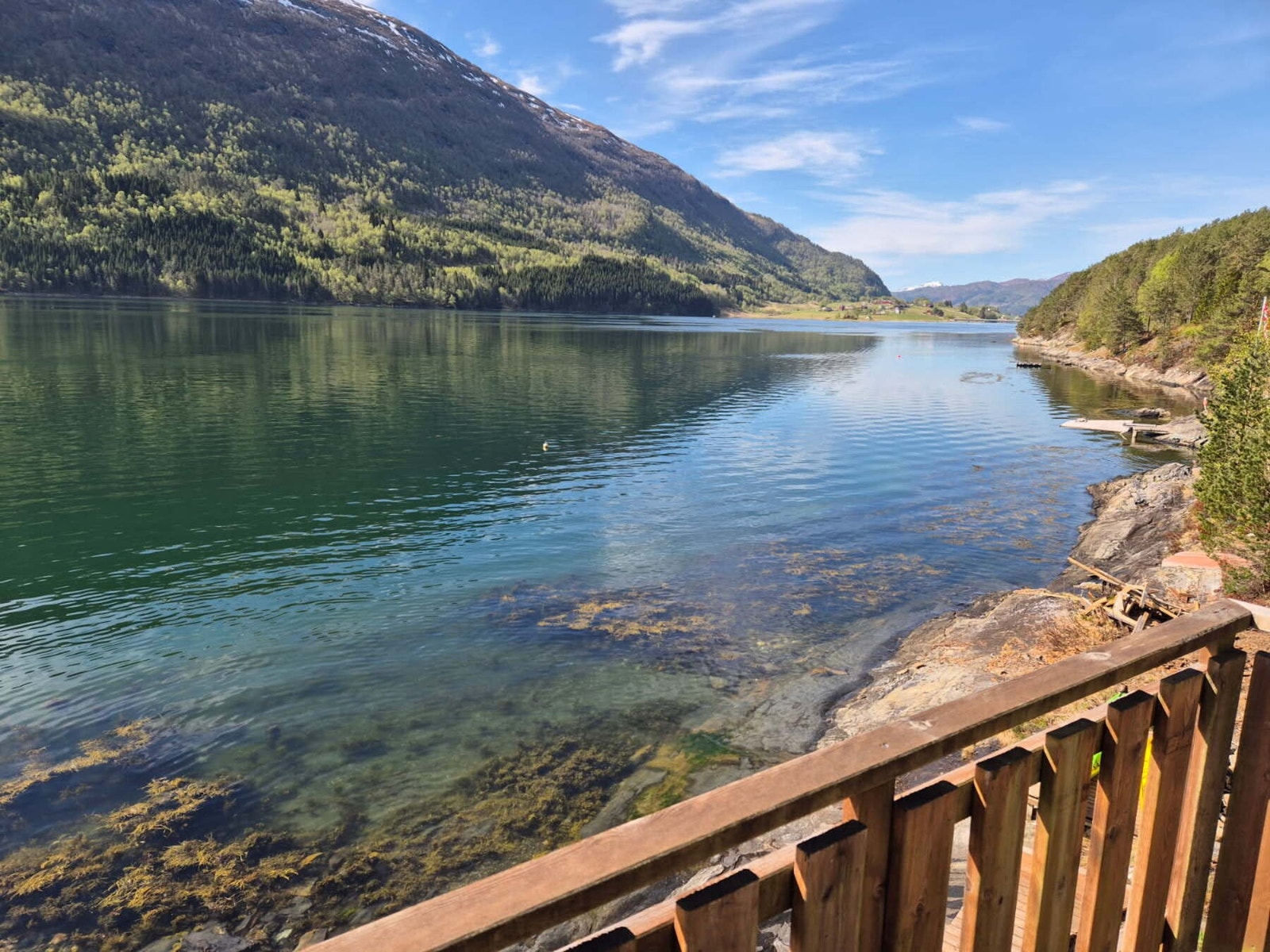 Selgers foto Galleribilde