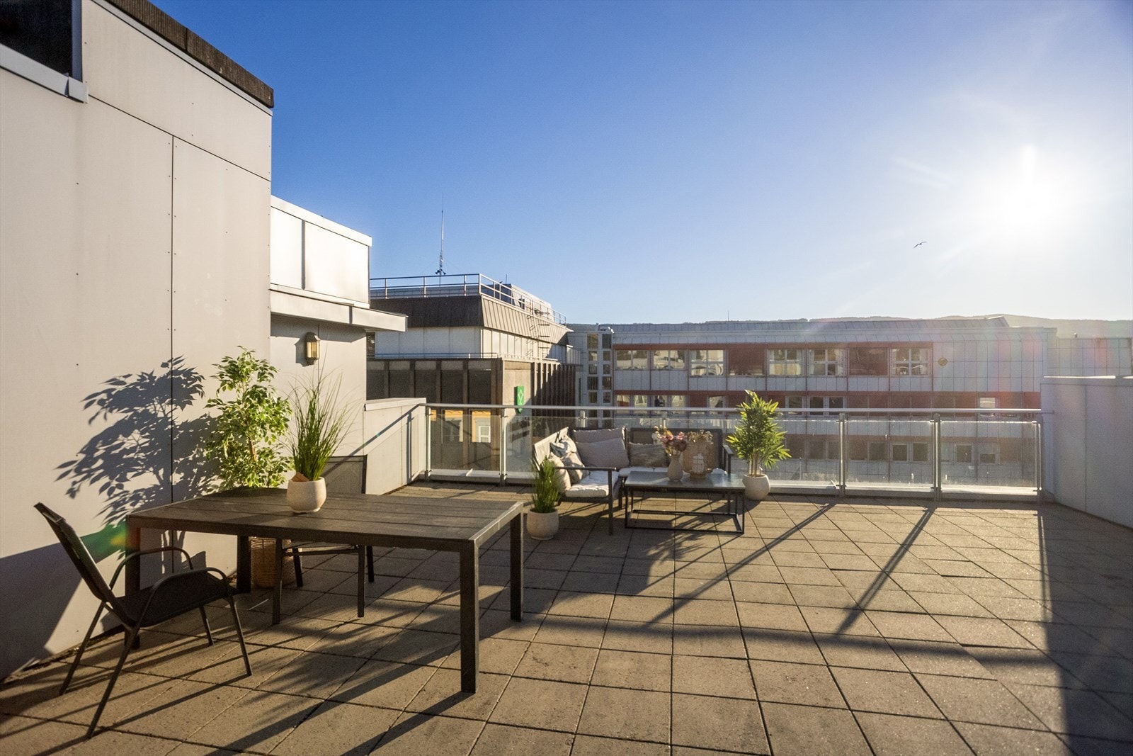 Ta med deg venner og familie opp i høyden, nyt solen og sommervarmen! Galleribilde