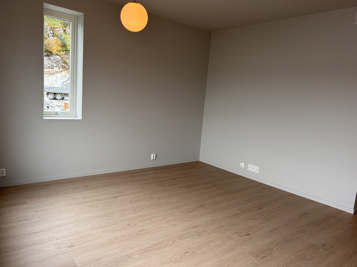 Stue Galleribilde