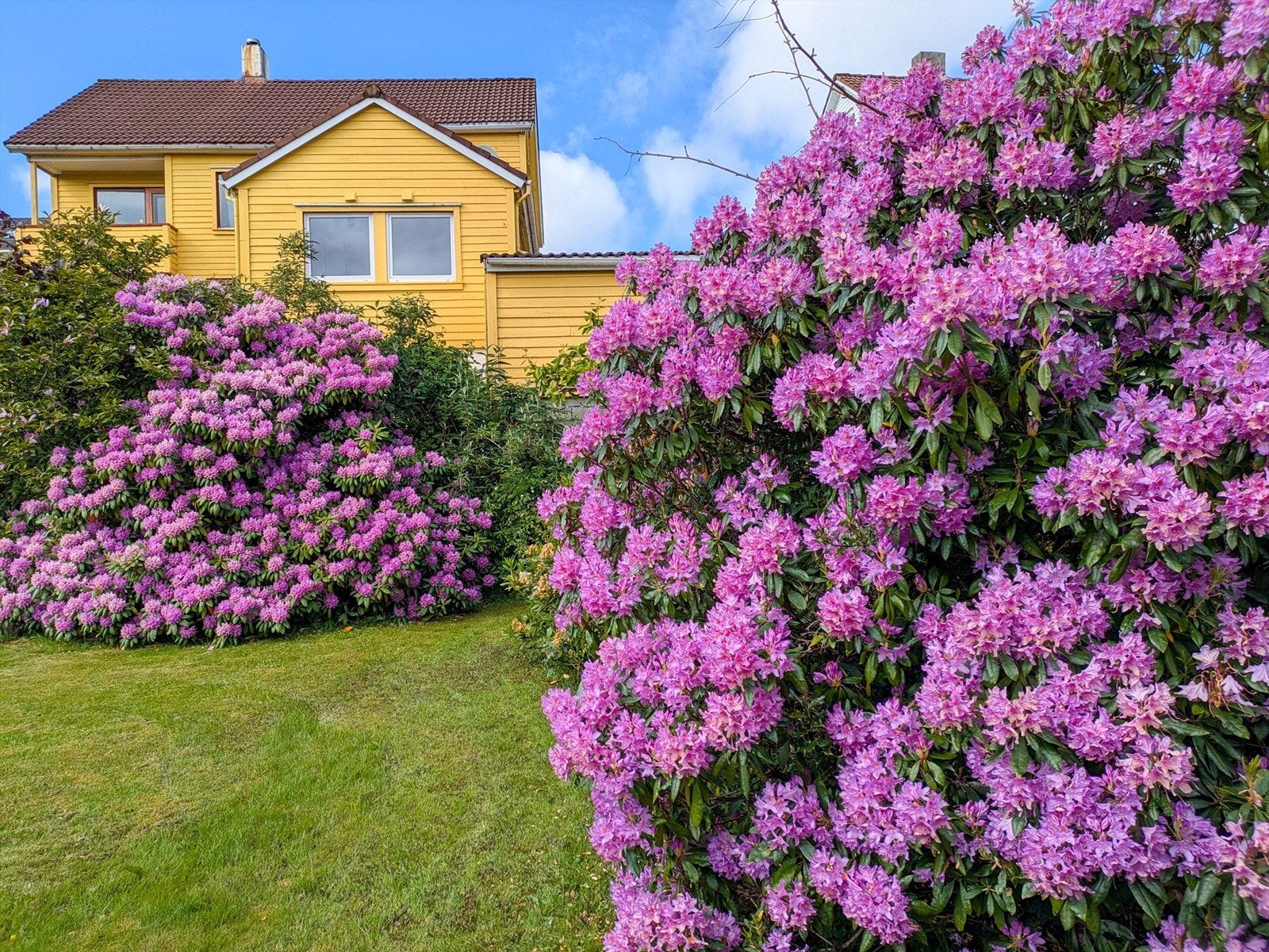 Hagen er en grønn oase sentralt på Våland. Galleribilde