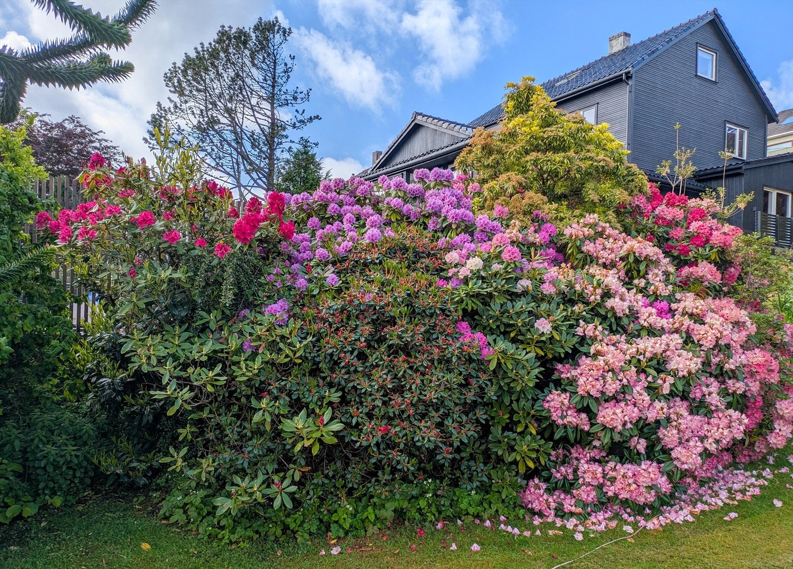 Eiendommen har en variert og rik beplantning. Galleribilde