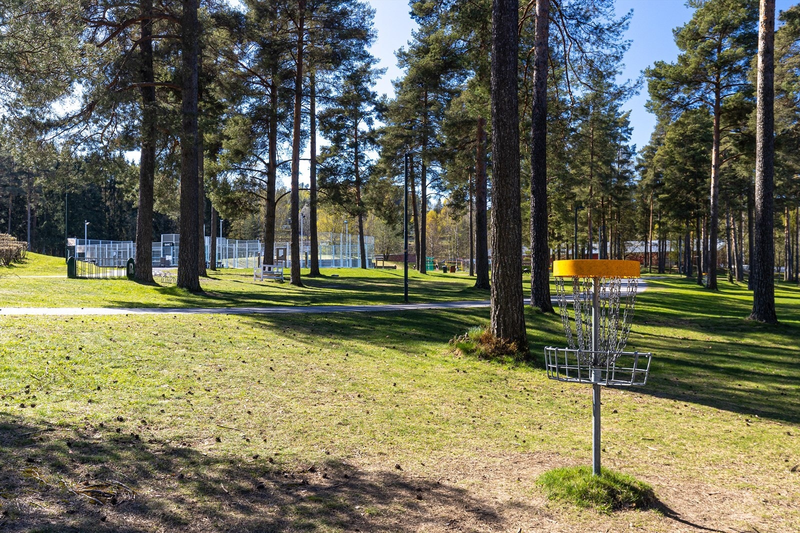 For den aktive finnes det også tilbud som diskgolfbane i nærområdet. Galleribilde