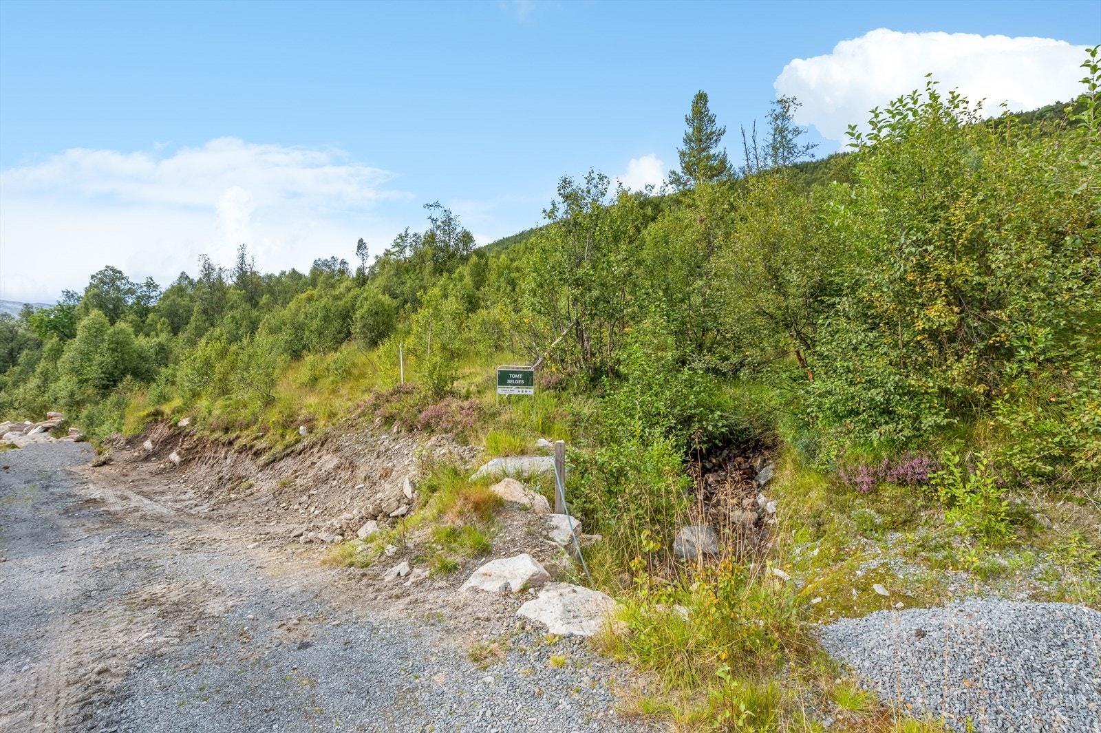 Vinterbrøytet vei helt frem til tomten. Galleribilde
