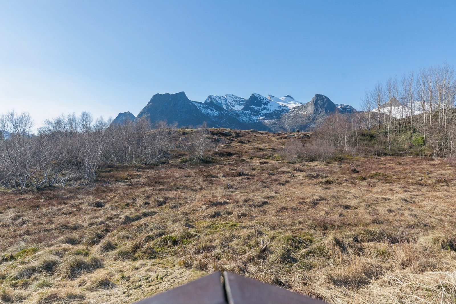 Denne utsikten kan bli din! Galleribilde