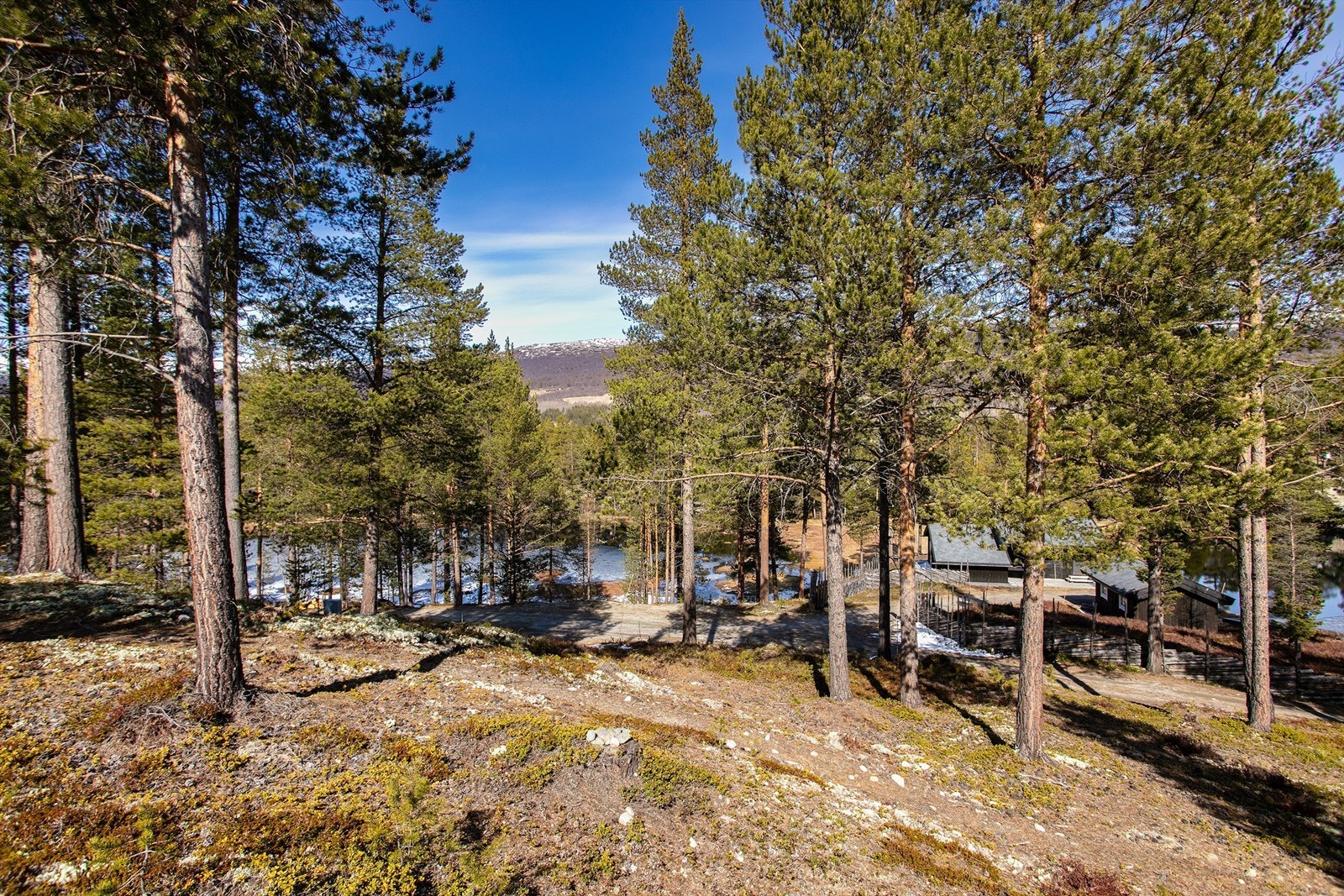 Fra eiendommen er det utsikt ned mot vannet og det omkringliggende landskapet Galleribilde