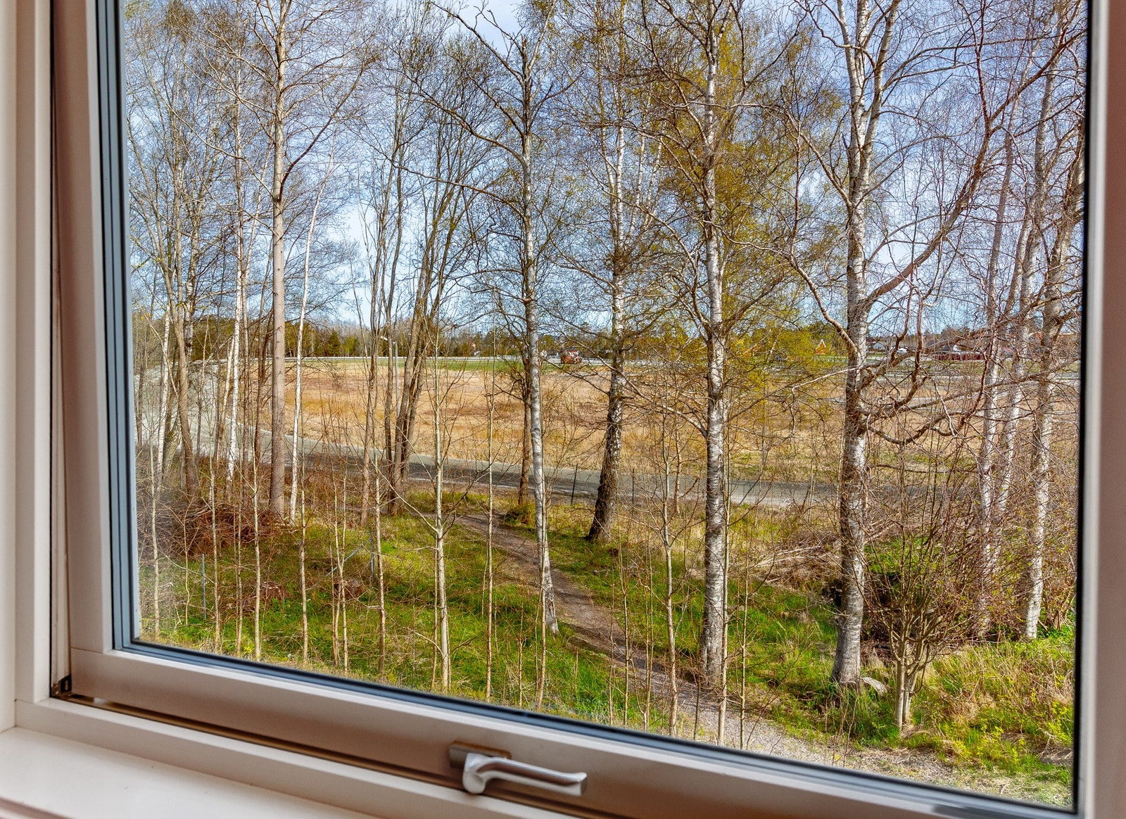 Hyggelig beliggenhet. Blir det nytt boligområde på Kalabanen? Galleribilde