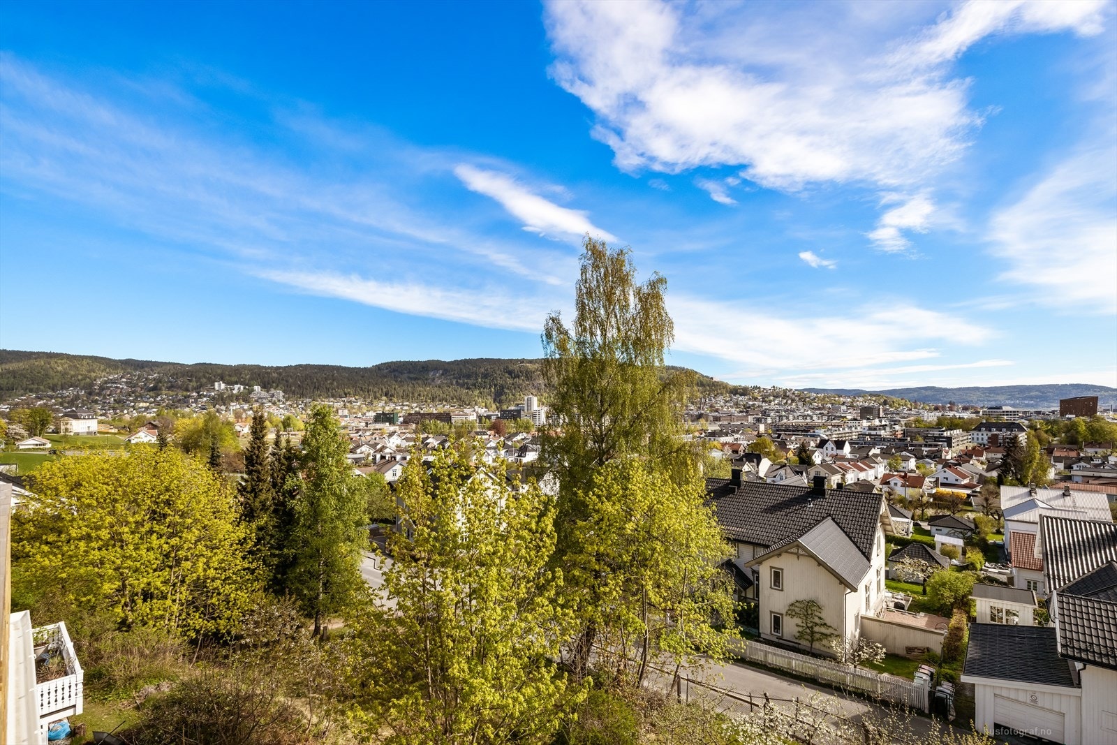 Utsikt over de grønne og frodige omgivelsene på Strømsø. Galleribilde