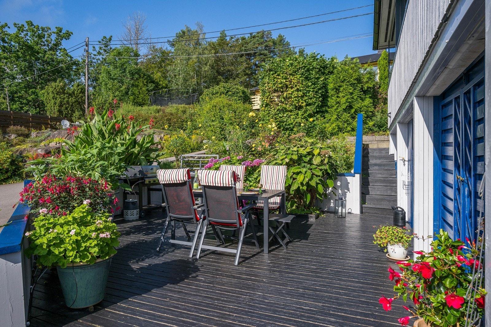 Nydelig å tilbringe tid i frodige omgivelser gjennom sommeren. Galleribilde
