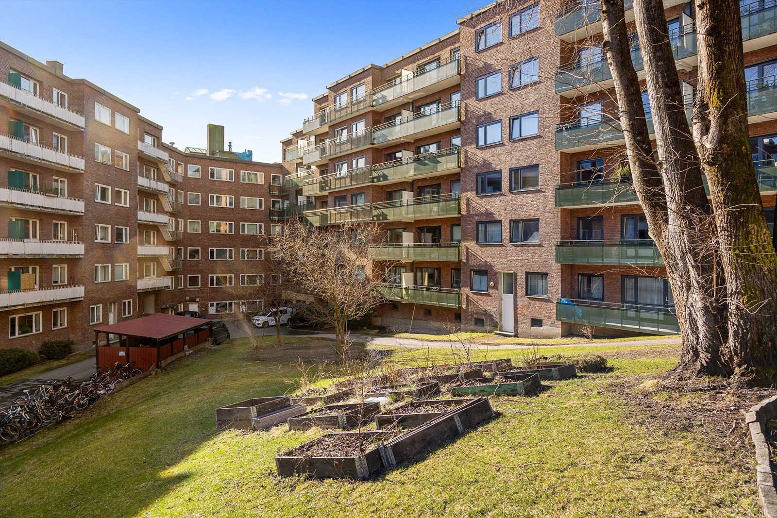 Hyggelig bakgård med sykkelparkering og grøntområder. Galleribilde