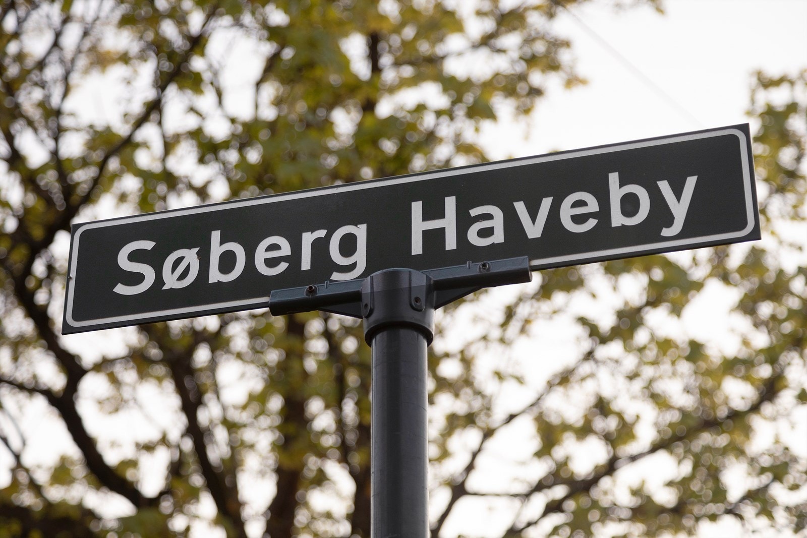 Boligen har en ettertraktet beliggenhet på Danvik i populære Søberg Haveby Galleribilde