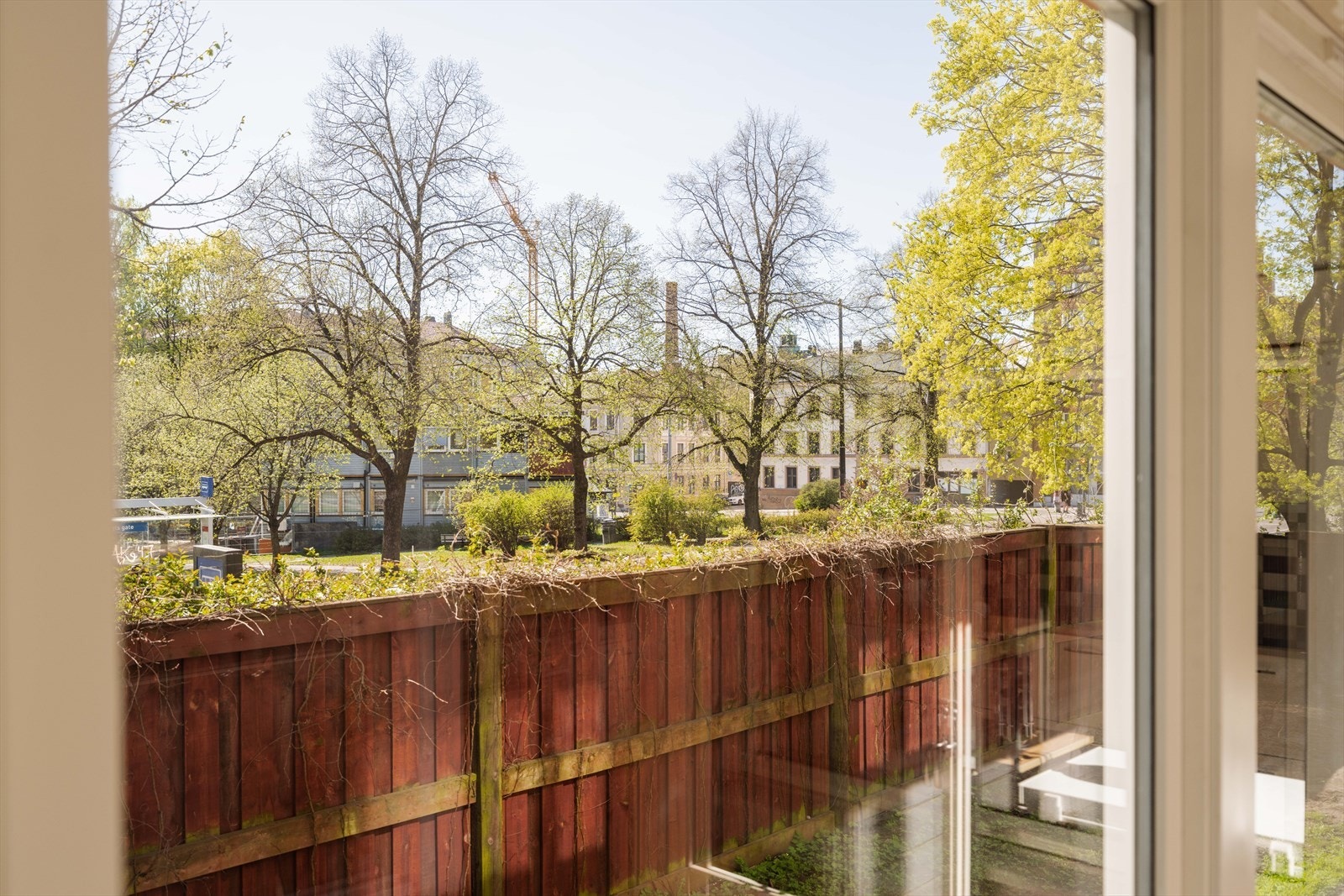 Fra kjøkkenvinduet har du en pen utsikt mot Hallénparken Galleribilde