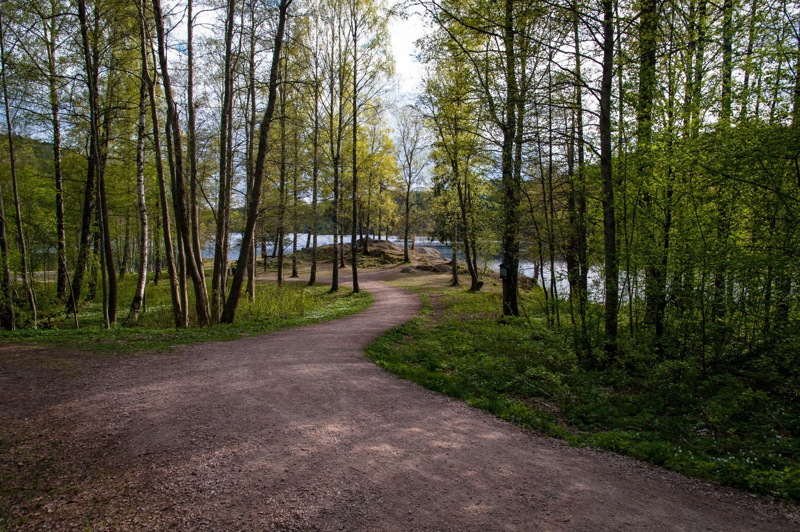 Skal du ut på tur, er det kort vei til flotte turveier inn mot Lutvann. Galleribilde