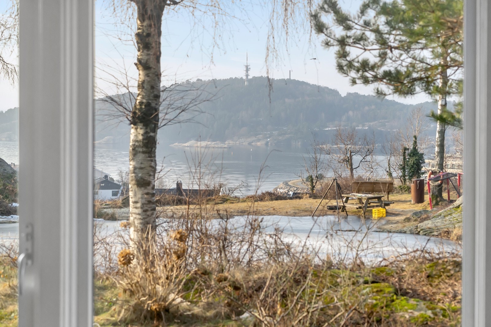 Fin utsikt over salamanderdammen, sjøen og Odderøya Galleribilde