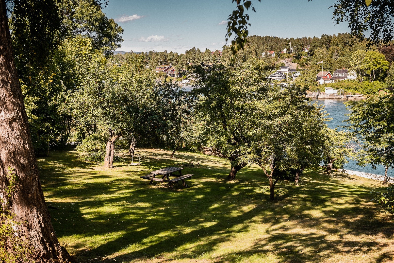 Flott naturtomt med frukttrær ned mot vannet. Galleribilde