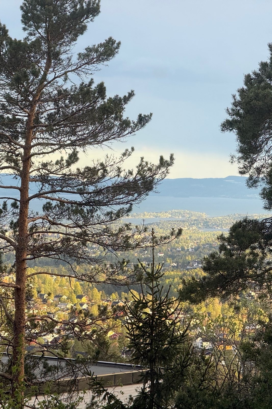 Legg merke til utsikten mot fjorden Galleribilde
