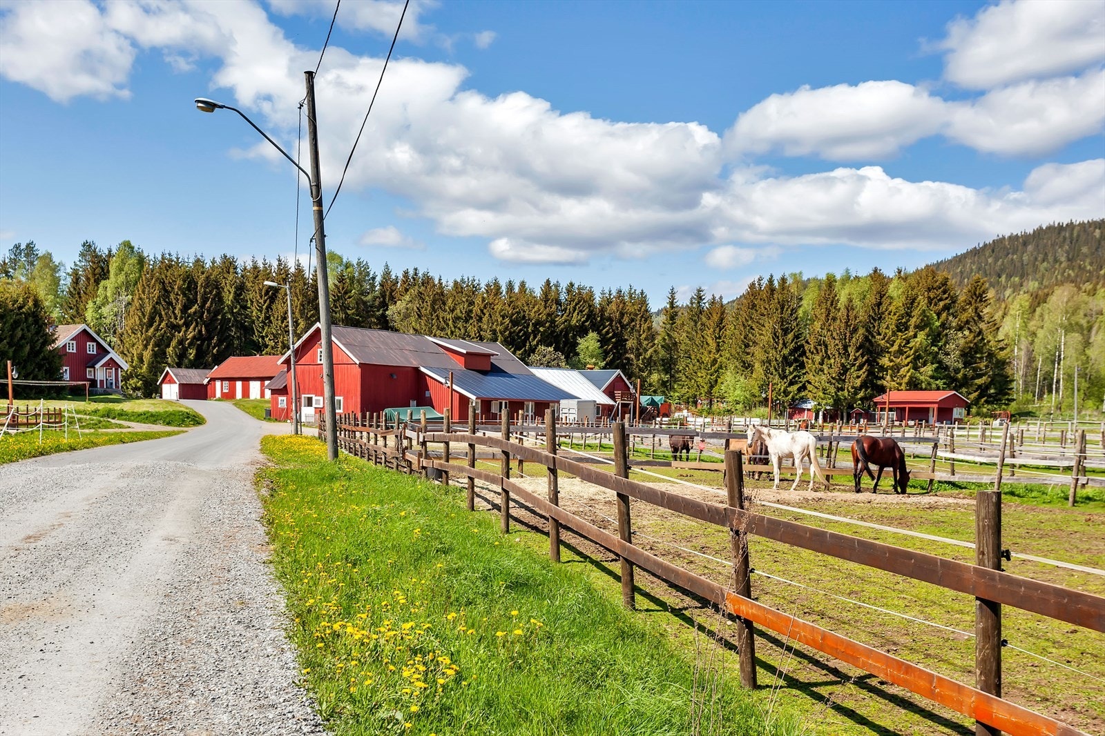 Her bor du i et etablert og etterspurt boligområde med flott utsikt mot Oslofjorden, innsjøen og de grønne omgivelsene i marka. Galleribilde
