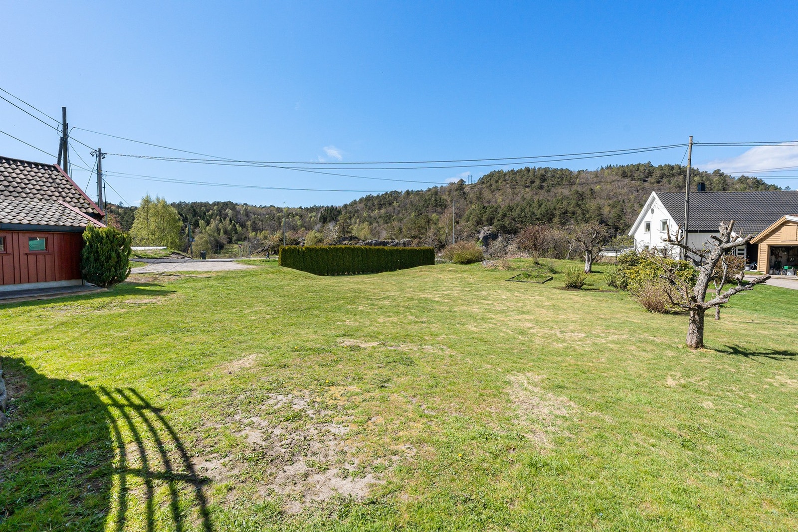 Gressplen og frukthage med pæretre, epletre, plommetre, rips, solbær, moreller og kirsebær. Galleribilde