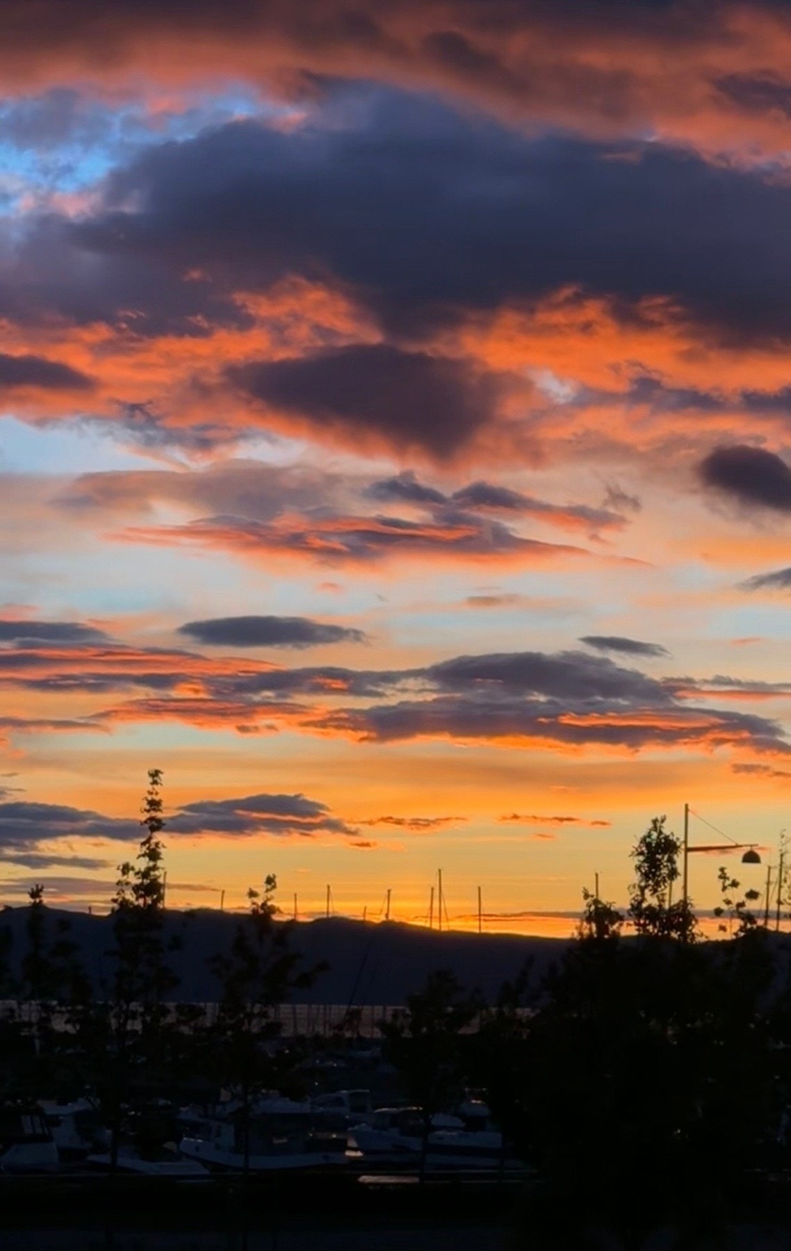 Selgers eget bilde. Galleribilde