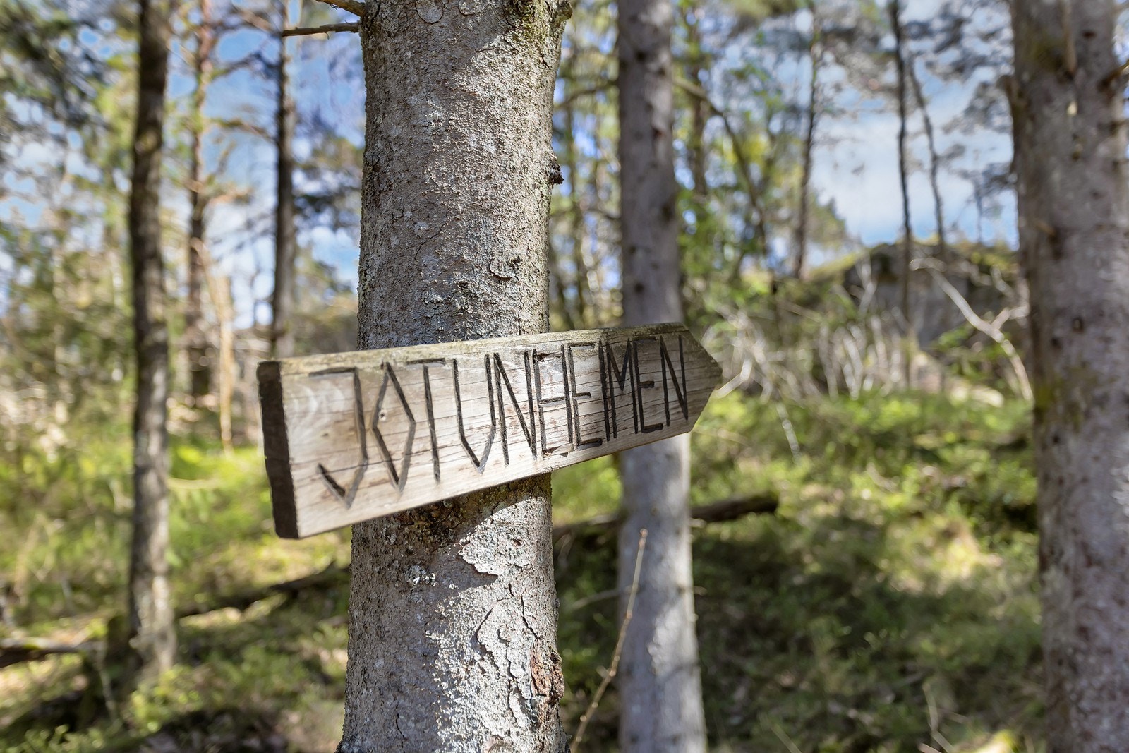 Fra parkering er det ca. 5 minutter gange opp til hytta. Galleribilde