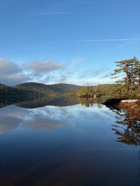 Bilde fra selger Galleribilde
