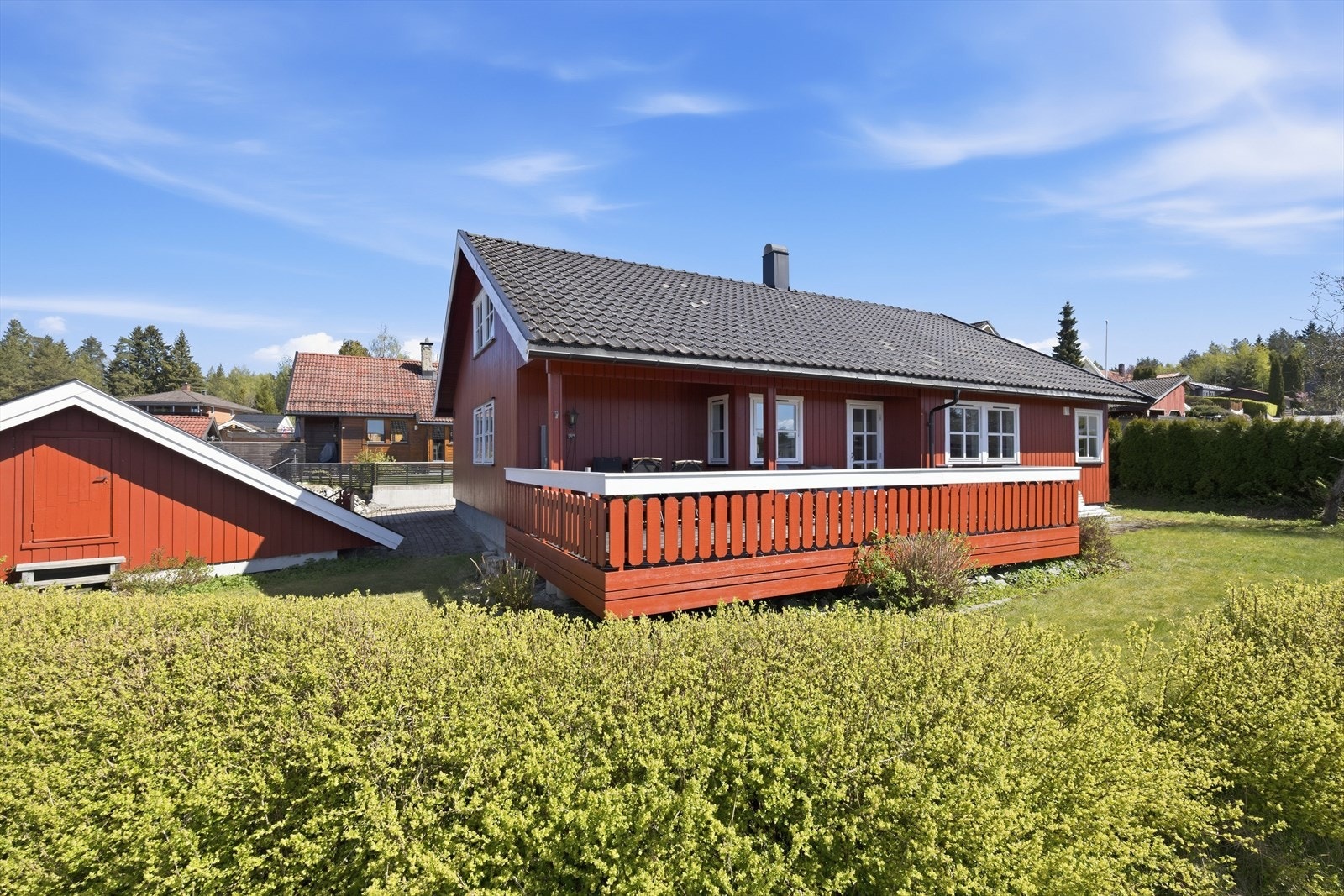 Trær og diverse beplatning pryder tomten Galleribilde