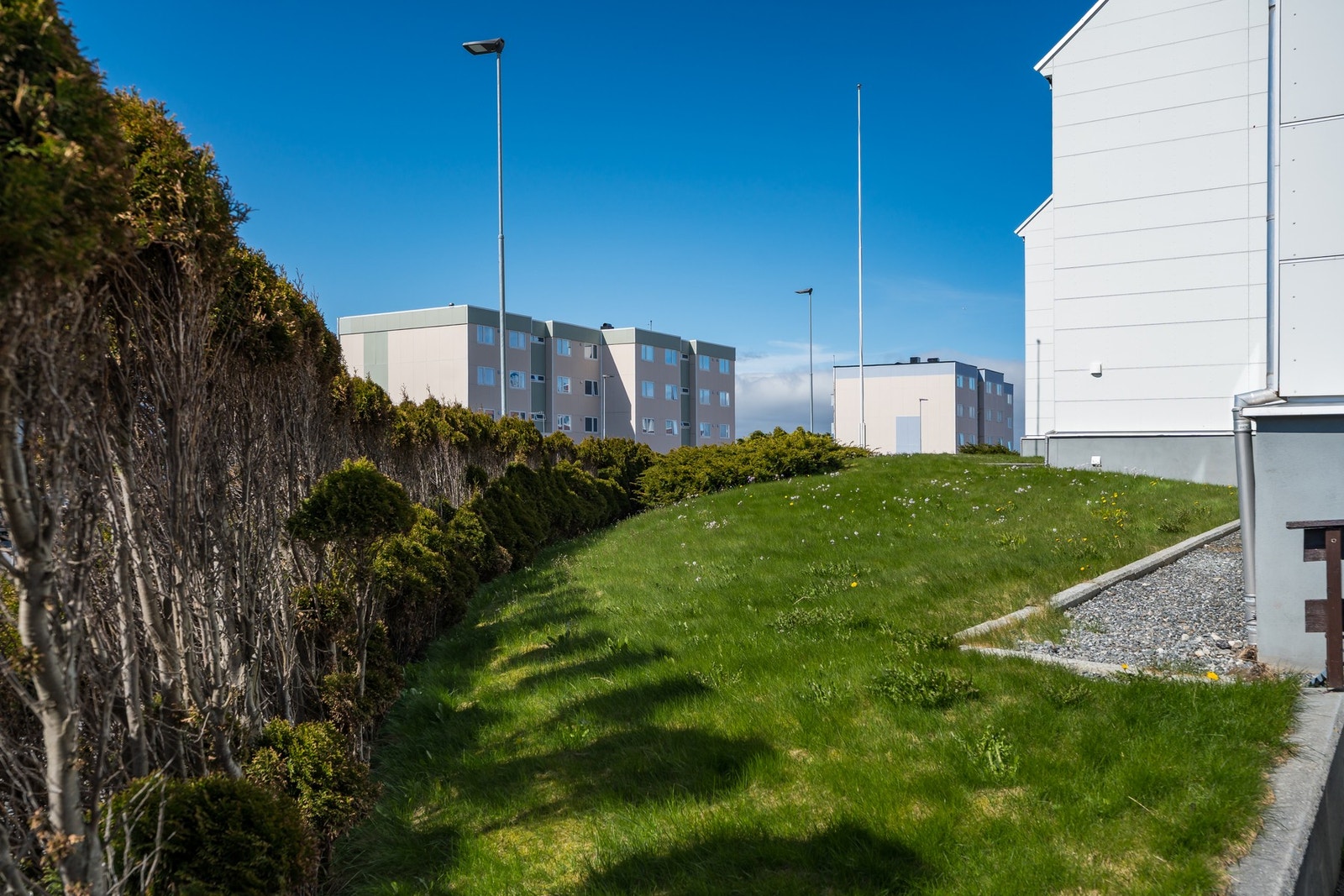 Det er i tillegg hekk og plen på østsiden av blokkene. Galleribilde