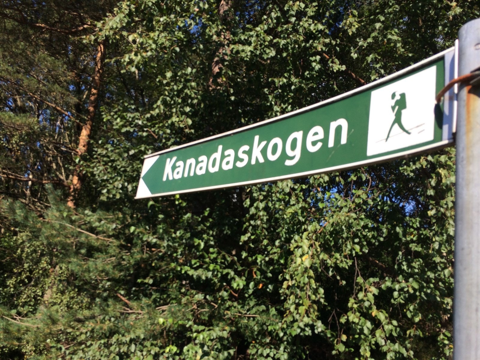 Eller en fin søndagstur i Kanadaskogen som også kan by på flere topper du kan bestige? Galleribilde