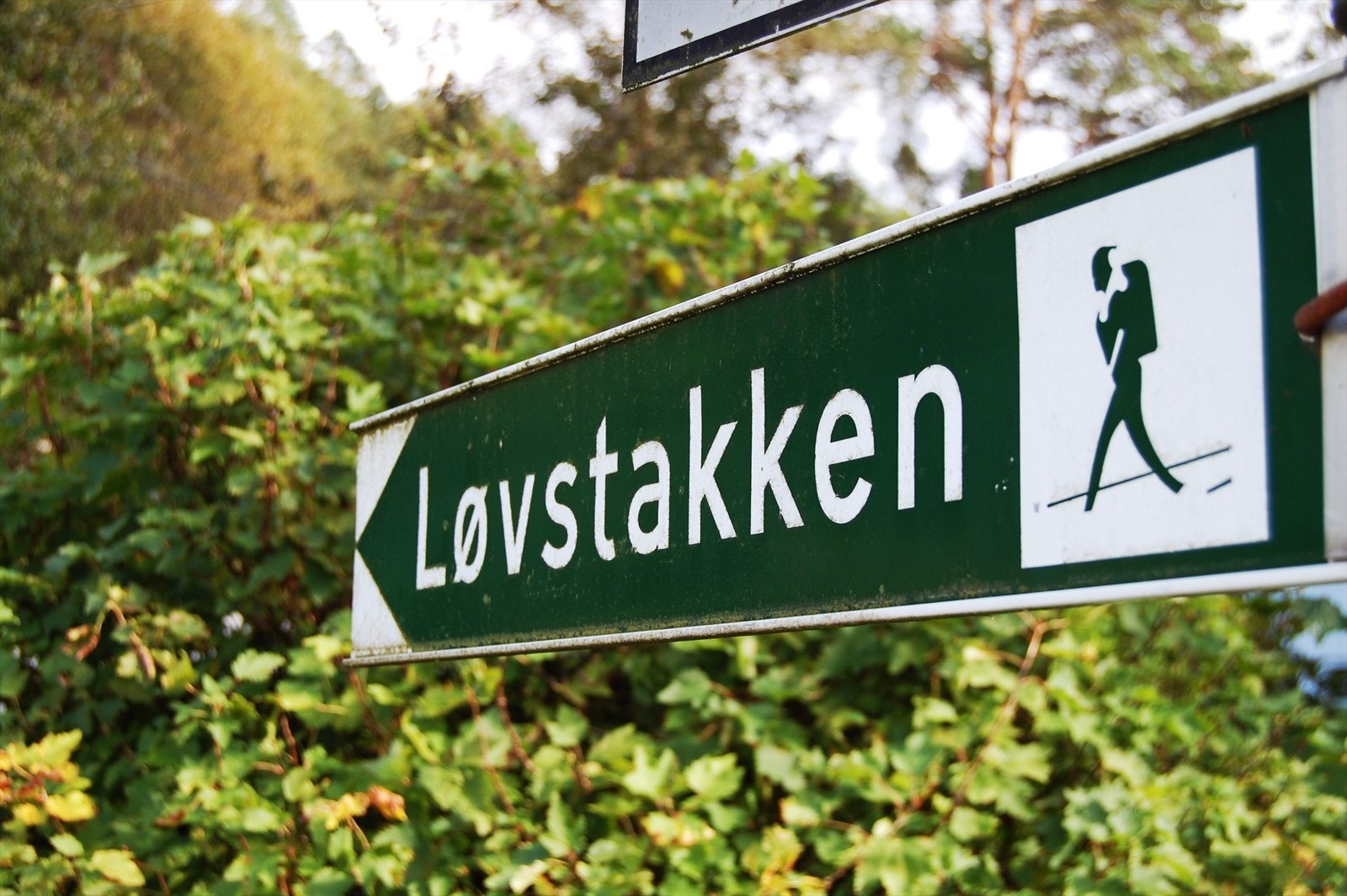 Hva med en tur på Løvstakken med flott utsikt som premie på toppen? Galleribilde