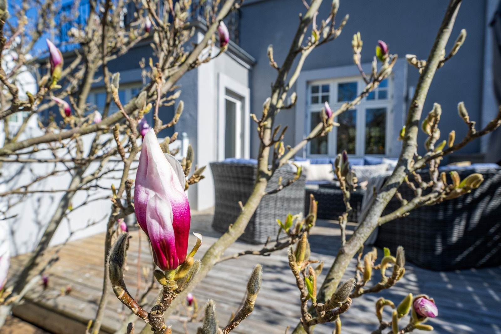 Hagen er klar for en ny sommer Galleribilde