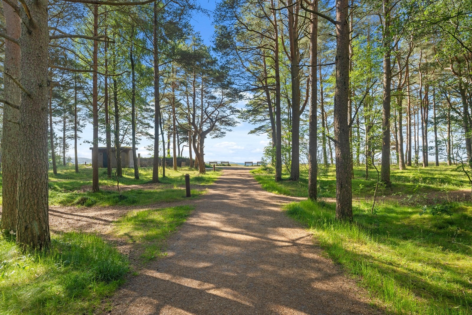 Idylliske sti i Mandals grønne lunge, Furulunden. Galleribilde