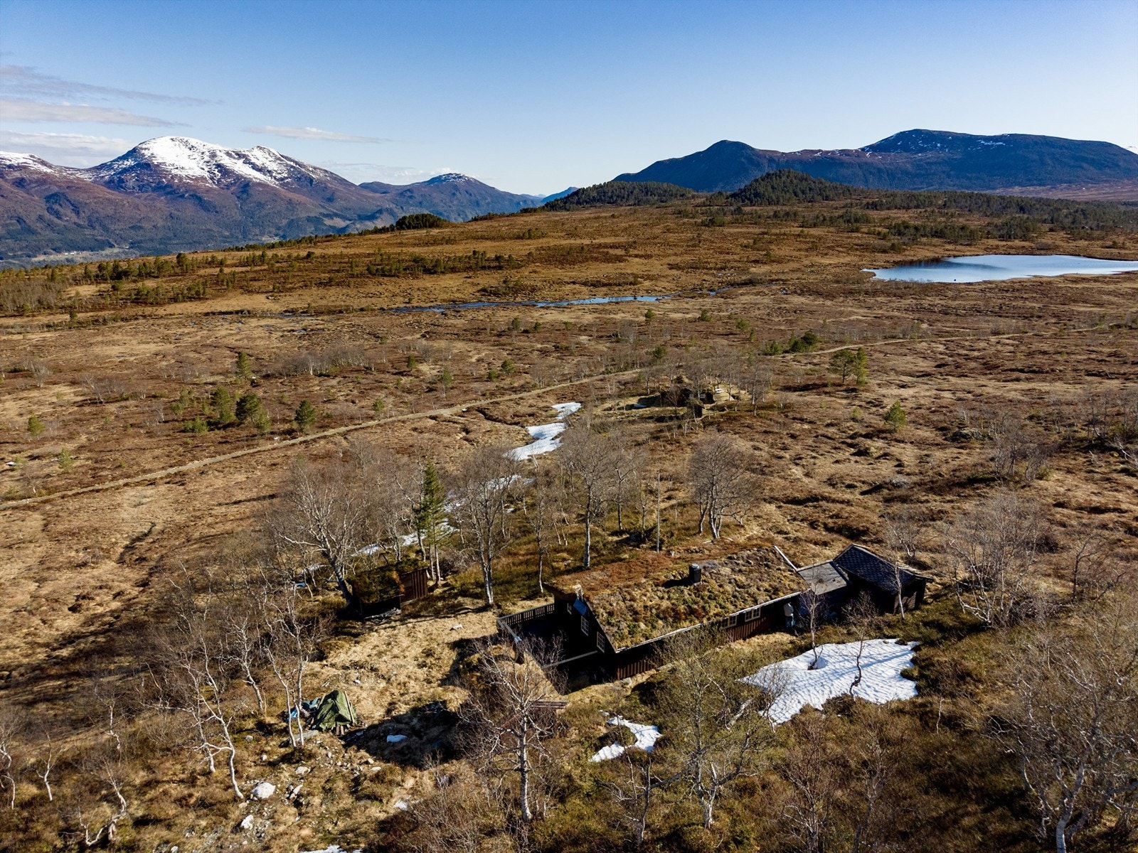 Hytta er omgitt av flott natur Galleribilde