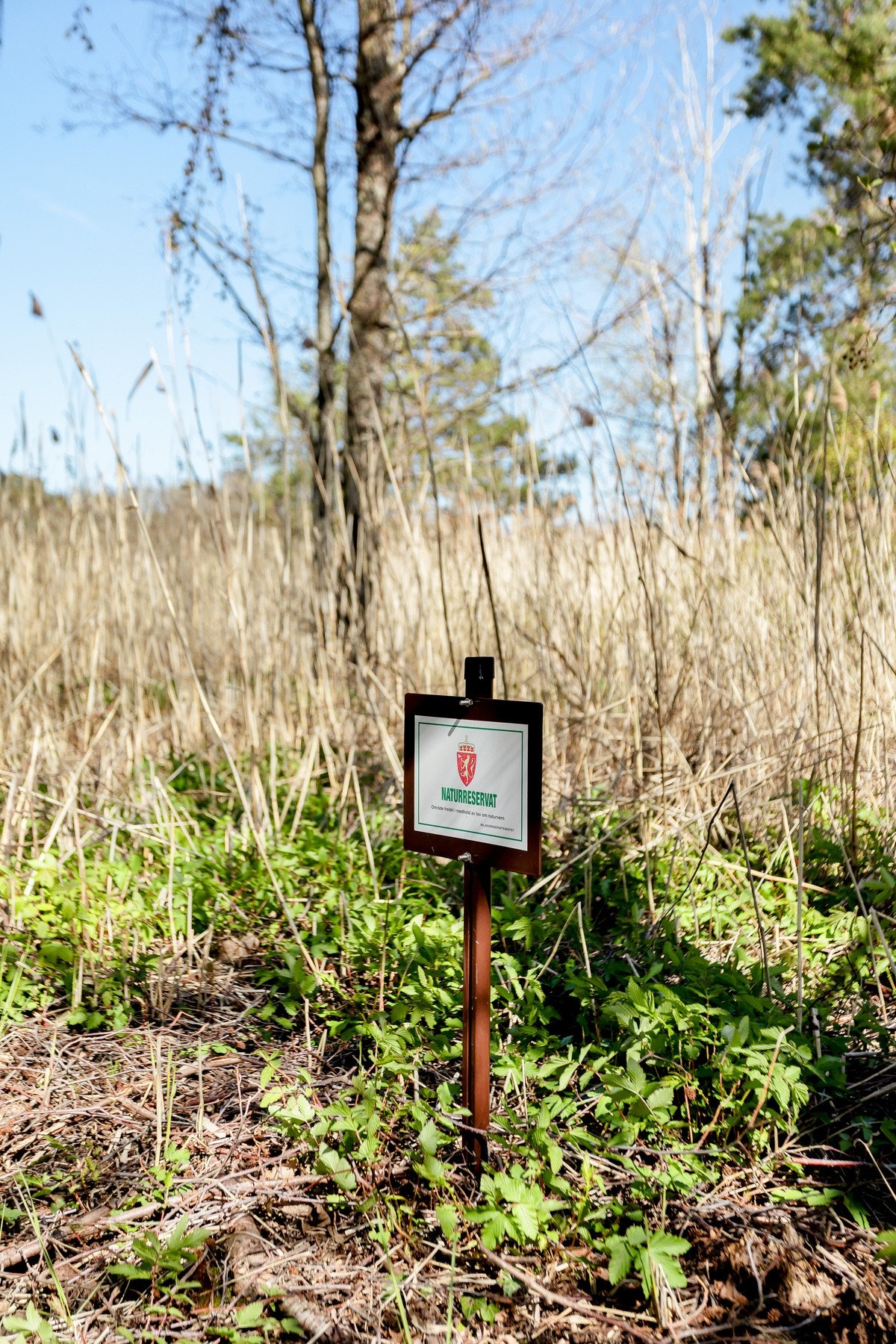 Her er det stille og fredelig, uten båttrafikk rett utenfor (naturreservat), og med rikt fugleliv som nærmeste nabo. Galleribilde